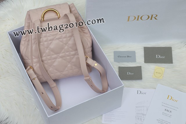Dior专柜新款迪奥高仿原单Caro双肩包小羊皮女士双肩背包 djfk1570